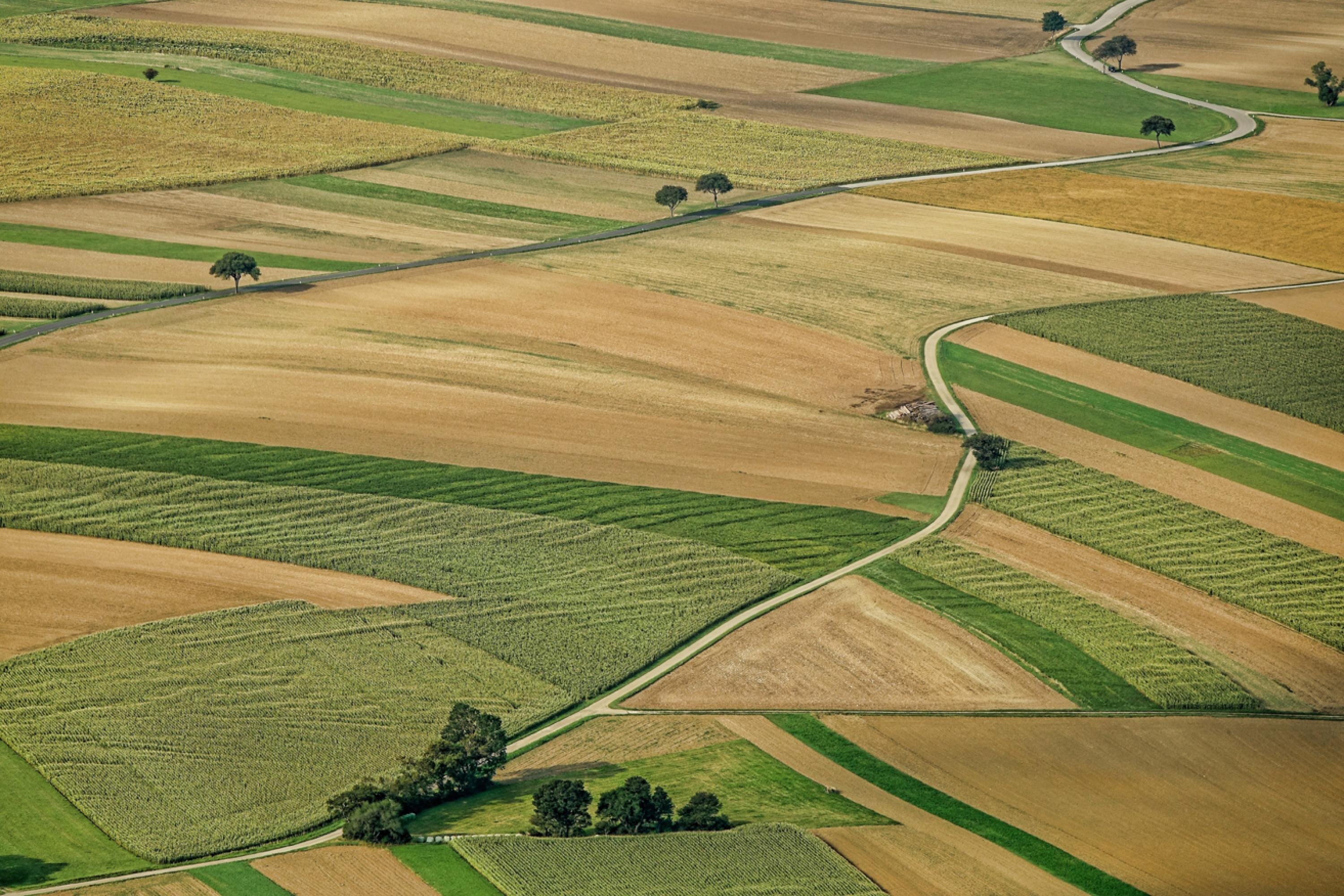 Free & Cheap Land cover photo