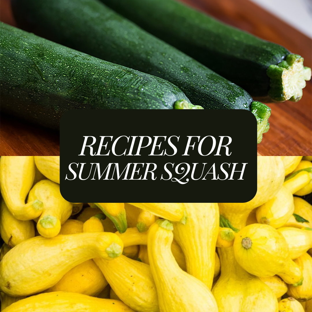 A photo including fresh yellow and zucchini squash with the post title "Recipes for Summer Squash" overlayed on the squash.